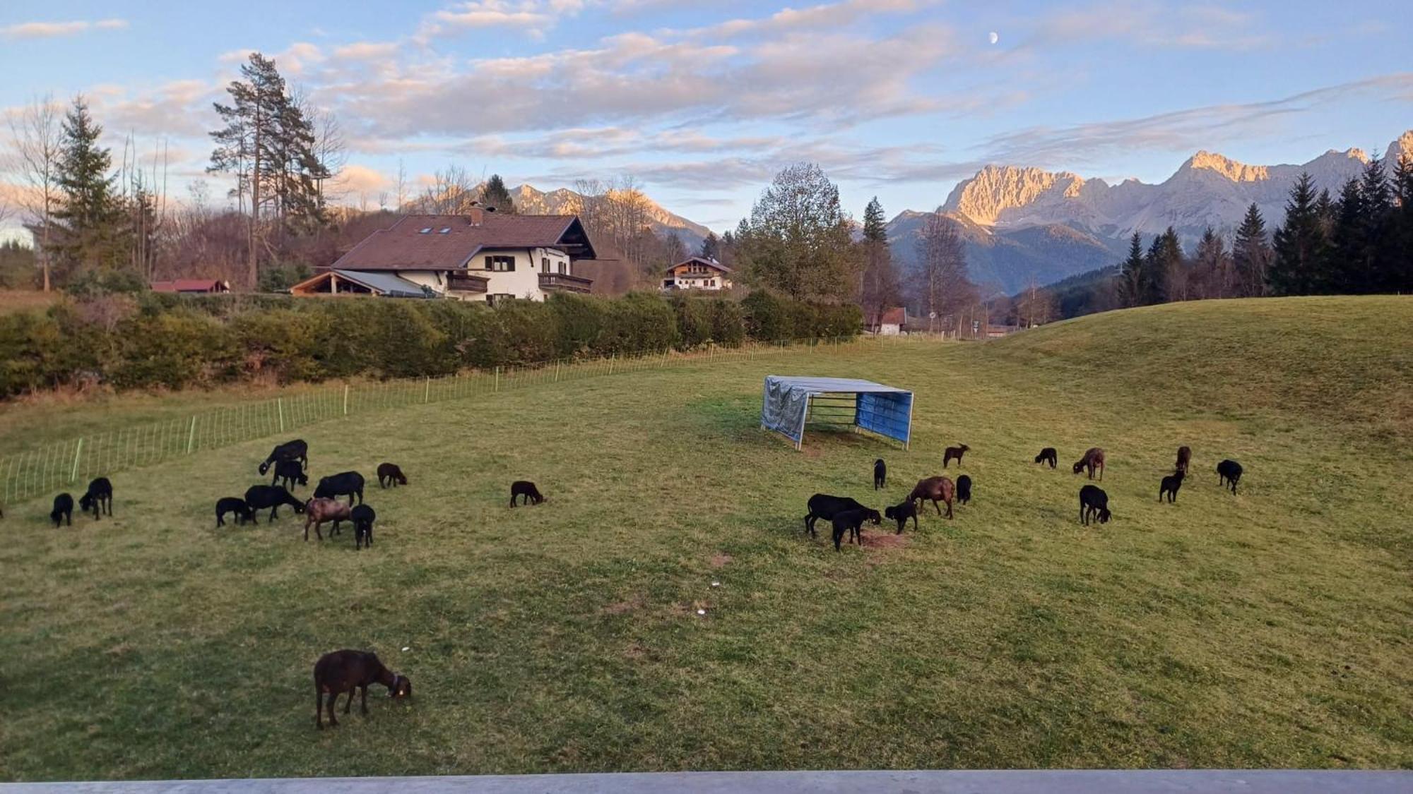 Bauernhaus Jocher Krün Esterno foto